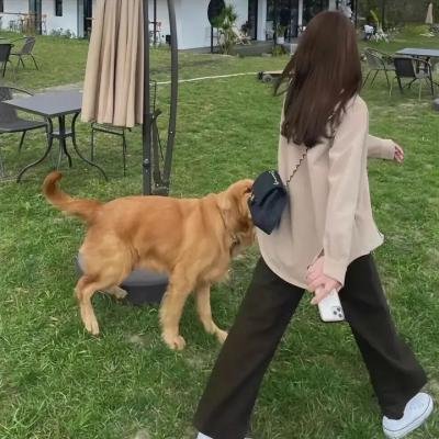 可能的脸