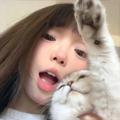 爱情森林